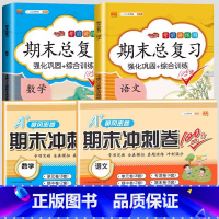 期末总复习+期末冲刺卷[语数]4本 五年级下 [正版]斗半匠期末总复习一年级二年级三四五六年级上册语文数学英语全套人教版