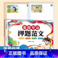 [范文+练习纸]押题范文+看图写话纸(上下册共102页) 小学二年级 [正版]看图写话押题范文一年级二年级人教版下册上册