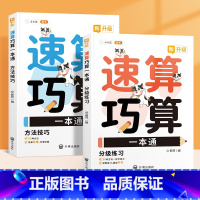 速算巧算一本通(方法技巧+分级练习)2册 小学通用 [正版]小学数学速算巧算一本通方法技巧大全口诀课程口算心算估算神器天