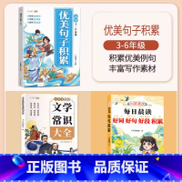 [全3册]好词好句好段+优美句子+文学常识大全 小学通用 [正版]优美句子积累大全小学生好词好句好段大全修辞手法专项训练