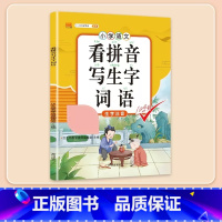 [拼音强化]看拼音写词语 五年级下 [正版]阅读理解专项训练书小学五年级下册上册语文英语每日一练人教版5下课内课外文言文