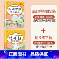 阅读理解+同步练字帖 二年级下 [正版]2023新版二年级上册语文阅读理解专项强化训练书人教版训练题课外与答题模板技巧每