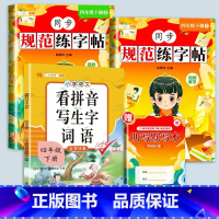 [赠听写默写本]练字帖+看拼音写生字 四年级下 [正版]四年级下册字帖规范练字帖每日一练同步人教版语文生字练字本描红斗半