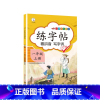 练字帖 [正版]一年级拼音拼读训练人教版练习册幼儿园幼小衔接一日一练学汉语描红本学习真好玩百变小能手田字格本专项半斗匠拼