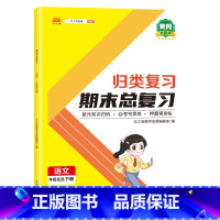 归类期末总复习 语文 二年级下 [正版]2023新版小学单元归类复习期末总复习一年级二年级三四五六下册语文数学英语人教版