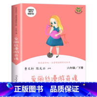 [六年级下]爱丽丝漫游奇境 [正版]人教版一年级二三四六年级上册小学生书籍和家长适合的读物一只想飞的猫稻草人中国神话传说