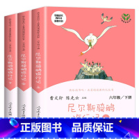 [六年级下]尼尔斯骑鹅旅行记(上.中.下) [正版]人教版一年级二三四六年级上册小学生书籍和家长适合的读物一只想飞的猫稻