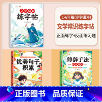 [3本]文学常识练字帖+优美句子+修辞手法 小学通用 [正版]必背文学常识积累大全练字帖小学生一年级字帖二三四五六年级下