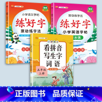 5上字帖+看拼音 [正版]二年级上册练字帖小学生一年级三四五六年级练好字语文同步练字本衡水体英语滚动练字法人教版每日一练