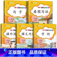 [一年级]语文专项训练5本 小学通用 [正版]斗半匠认识钟表和时间练习题儿童小学时钟模型教具小学生一年级二年级三年级上册