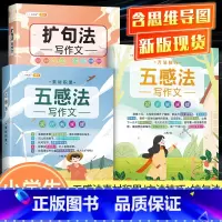 [一学就会-3本]五感法+扩句法 小学通用 [正版]小学生作文书大全四至六年级五感法写作文扩句法写作技巧方法素材积累三到