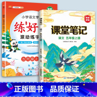 5上语文字帖+课堂笔记 [正版]二年级上册练字帖小学生一年级三四五六年级练好字语文同步练字本衡水体英语滚动练字法人教版每