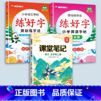 5上字帖+课堂笔记 [正版]二年级上册练字帖小学生一年级三四五六年级练好字语文同步练字本衡水体英语滚动练字法人教版每日一