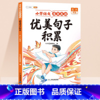 优美句子积累 (晨读版) 5+6年级 小学通用 [正版]优美句子积累大全小学生语文每日晨读一年级二年级三四五六年级上册6