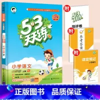 语文[人教版] 五年级下 [正版]秋新版53天天练一年级二年级三四五六年级上册语文数学英语人教版小学下册5.3练习题人教