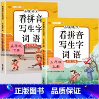 看拼音写词语上下册 五年级下 [正版]2023新版小学五年级上册语文数学同步训练全套人教版阅读理解专项训练书看拼音写词语