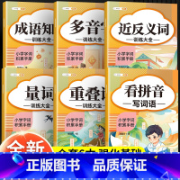 [升级新版]词语积累大全训练(6册) 小学通用 [正版]词语积累大全训练小学生成语量词重叠词语文字词专项知识手册6册 近