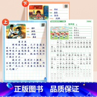 [上下册]看图写话字帖+练习纸 小学二年级 [正版] 看图写话一年级练字帖每日一练上册专项训练范文大全阅读理解押题范文小