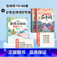 必背古诗词75+80首+同步抄写本 2年级 [正版]小学生必背古诗词练字帖抄写本一年级二年级三四五六年级上册人教版同步字