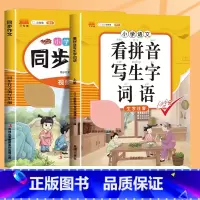 [2本]同步作文+看拼音写词语 六年级上 [正版]2023新版六年级上册同步作文人教版6年级上小学语文课外书六上小学生作