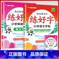 [语文+英语]练字帖2本 三年级上 [正版]衡水体英语字帖练字一年级二年级三四五六上册下册小学生笔画笔顺练字帖每日一练临