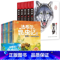 [全套15册]狼王梦+法布尔昆虫记 [正版]狼王梦沈石溪全套5册动物小说全集完整版三四五六年级小学生课外阅读故事书籍儿童
