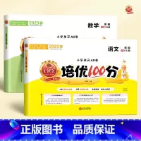 语文+数学[人教版] 六年级下 [正版]2023新版试卷培优100分小学一年级二年级三四五六年级上册下册语文数学英语人教