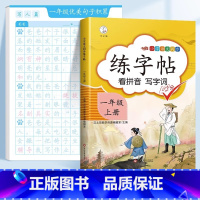 ❤️[一年级]优美句子字帖 +一上同步字帖 [正版]斗半匠优美句子积累字帖小学生练字帖每日一练正楷一年级二年级三四五六年