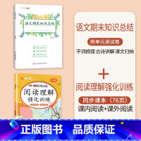 期末知识总结+阅读理解训练 二年级上 [正版]语文期末知识总结一年级二年级三四五六年级上册人教版小学生总复习冲刺100分