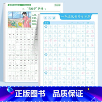 ❤️[一年级]优美句子字帖+ 一年级看图写话字帖 [正版]斗半匠优美句子积累字帖小学生练字帖每日一练正楷一年级二年级三四