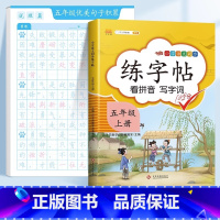 ❤️[五年级]优美句子字帖 +五上同步字帖 [正版]斗半匠优美句子积累字帖小学生练字帖每日一练正楷一年级二年级三四五六年