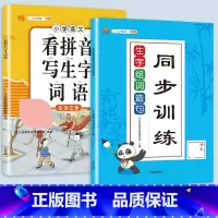 生字组词造句+看拼音写生字 二年级下 [正版]2023新版生字组词造句一年级二年级三四上册下册小学语文同步专项训练题阅读