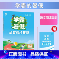 [语文]暑期阅读集训 小学二年级 [正版]2023小学学霸暑假衔接作业一升二升三升四五六下册一年级二年级预科班课堂笔记数