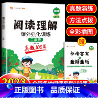 阅读理解课外强化训练 (真题100篇) 小学二年级 [正版]阅读理解专项训练书人教版二年级上册下册小学语文阅读理解训练题