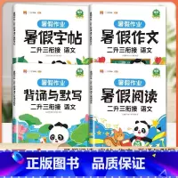 [全套4册]暑假作业 语文 2升3衔接 小学二年级 [正版]二年级下册暑假作业暑期衔接二升三练字帖人教版语文同步练习册2