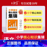 核心知识集锦[语文] 小学通用 [正版]小学核心知识集锦语文数学英语重点知识大全大盘点一年级二年级三四五六年级人教版基础