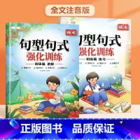 [1-2年级]句型句式强化训练2册 讲解+练习 [正版]句型句式强化训练大全小学语文一年级二年级三四五六年级句子专项训练