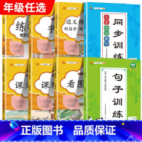 语文专项训练[全8册] 二年级上 [正版]汉之简小学语文句子训练生字组词造句近义词反义词形近字多音字同音字仿写扩充扩展同