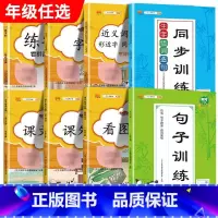 语文专项训练[全8册] 二年级上 [正版]汉之简小学语文句子训练生字组词造句近义词反义词形近字多音字同音字仿写扩充扩展同
