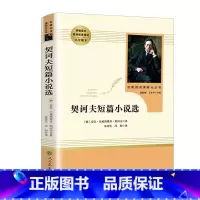 契诃夫短篇小说 [正版]艾青诗选和水浒传原著书完整版人民教育出版社文学世说新语儒林外史简爱初中九年级上册课外阅读书籍名著