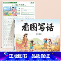 [写作+练字]看图写话+看图写话练字帖 一年级上 [正版]斗半匠看图写话一年级上册看图说话写话人教版每日一练作文素材专项