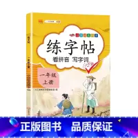 练字帖 一年级上 [正版]2023一年级上册专项训练语文数学全套人教版同步练习小学课外阅读理解看图写话认识图形钟表和时间