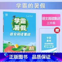 [3升4年级]语文阅读集训 小学通用 [正版]2023小学学霸暑假衔接作业一升二升三生四暑期五六一年级二年级下册署假预科