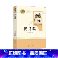 我是猫 [正版]艾青诗选和水浒传原著书完整版人民教育出版社文学世说新语儒林外史简爱初中九年级上册课外阅读书籍名著上下册人