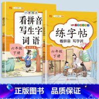 看拼音写词语+练字帖 六年级上 [正版]2023新版小学六年级上册语文数学同步训练全套人教版阅读理解专项训练书看拼音写词