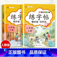 练字帖上下册 六年级下 [正版]2023新版小学六年级上册语文数学同步训练全套人教版阅读理解专项训练书看拼音写词语练字帖