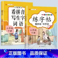 看拼音写词语+练字帖 六年级下 [正版]2023新版小学六年级上册语文数学同步训练全套人教版阅读理解专项训练书看拼音写词
