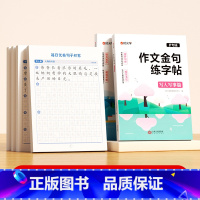 [全套6册]作文金句练字帖+每日优美句子积累大全 [正版]作文金句练字贴小学一二三年级四五六年级上下册满分作文优美句子积