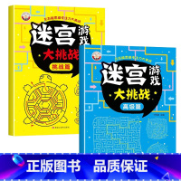 [全2册]迷宫(高级+挑战) [正版]儿童迷宫书 3-6-7-8-10岁宝宝走迷宫游戏大冒险趣味迷宫专注力注意力训练玩具