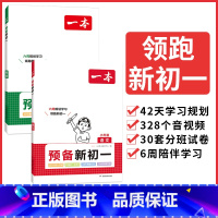 小升初专用[预备新初一]语文+英语全2册 小学通用 [正版]2024小学知识大盘点语文数学英语基础知识大全四五六年级考试
